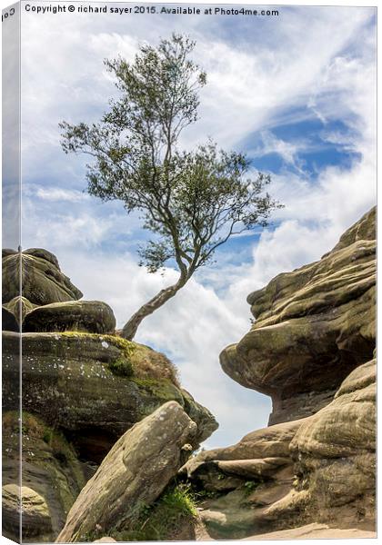  Between a Rock and a Hard Place Canvas Print by richard sayer