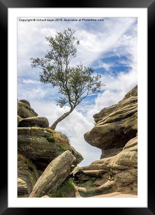  Between a Rock and a Hard Place Framed Mounted Print by richard sayer