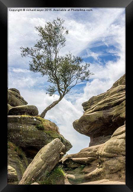  Between a Rock and a Hard Place Framed Print by richard sayer