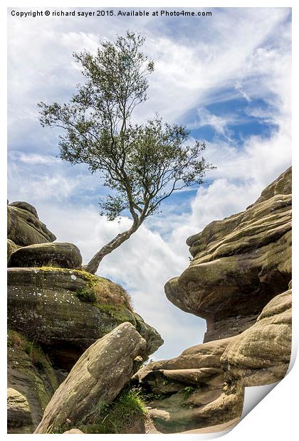 Between a Rock and a Hard Place Print by richard sayer