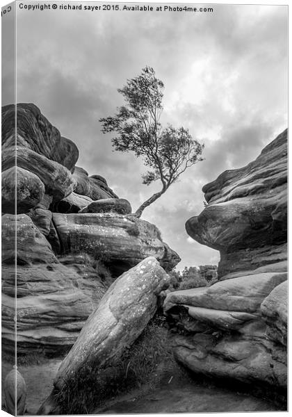  Rock and a Hard Place Canvas Print by richard sayer