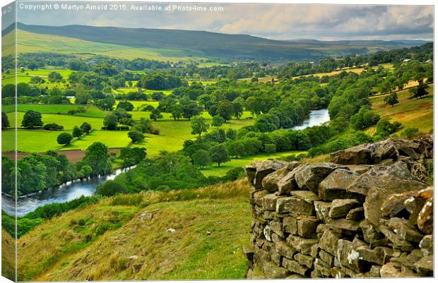 Teesdale View Canvas Print by Martyn Arnold