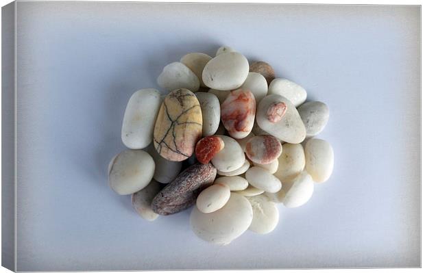  white pebbles Canvas Print by Marinela Feier