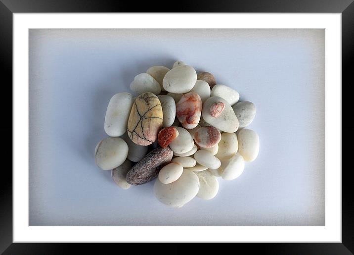  white pebbles Framed Mounted Print by Marinela Feier