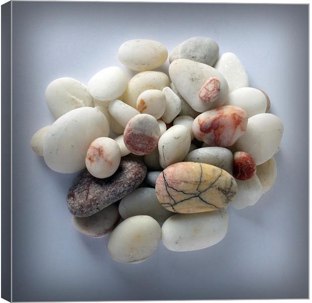  white pebbles 2 Canvas Print by Marinela Feier