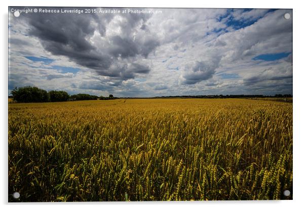  blue sky wheat Acrylic by Rebecca Leveridge