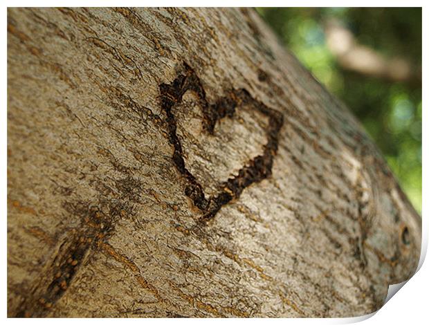Love On tree Print by Aman Kisku