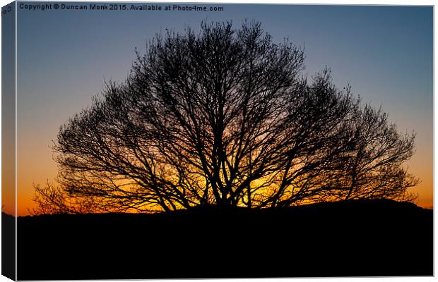  Hartlebury Common Sunset Canvas Print by Duncan Monk