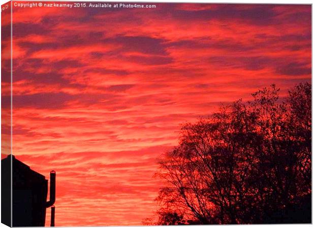  red sky at night   Canvas Print by naz kearney