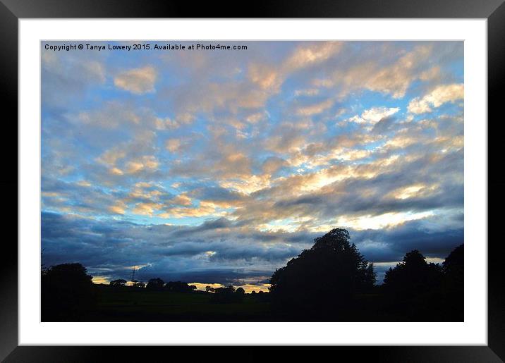  sunset sky! Framed Mounted Print by Tanya Lowery