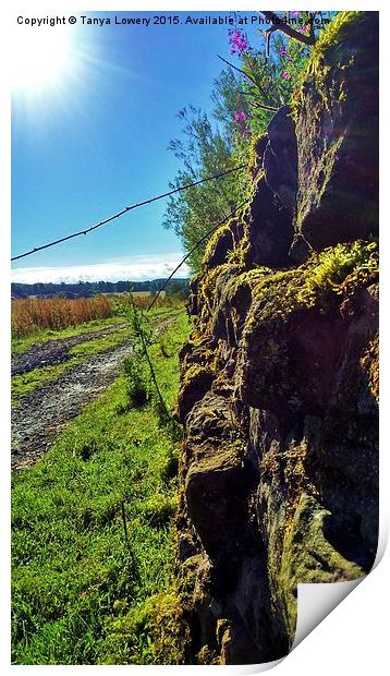  Mossy wall! Print by Tanya Lowery