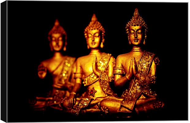  Three peaceful golden Buddha statues in different Canvas Print by Julian Bound