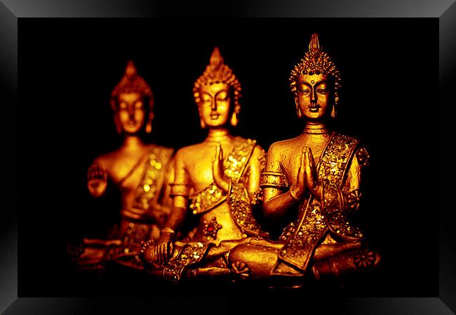  Three peaceful golden Buddha statues in different Framed Print by Julian Bound