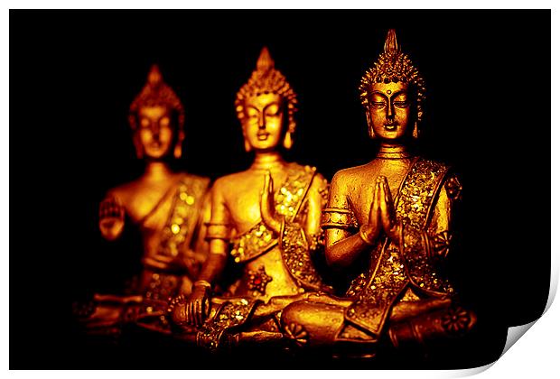  Three peaceful golden Buddha statues in different Print by Julian Bound