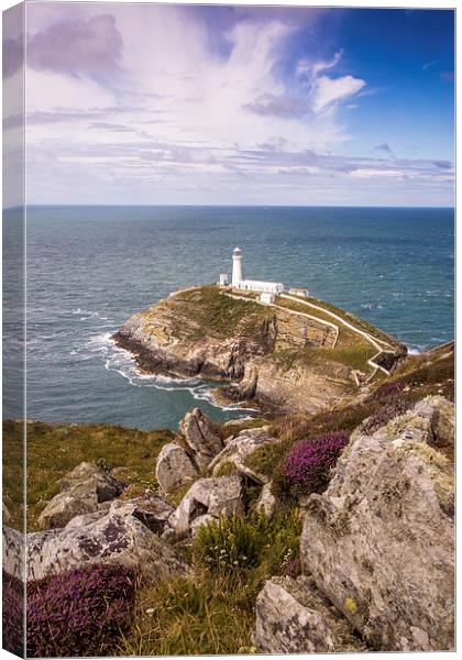  South Stack Canvas Print by Sean Wareing