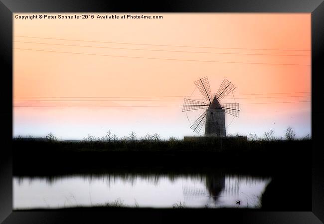Evening windmill Framed Print by Peter Schneiter