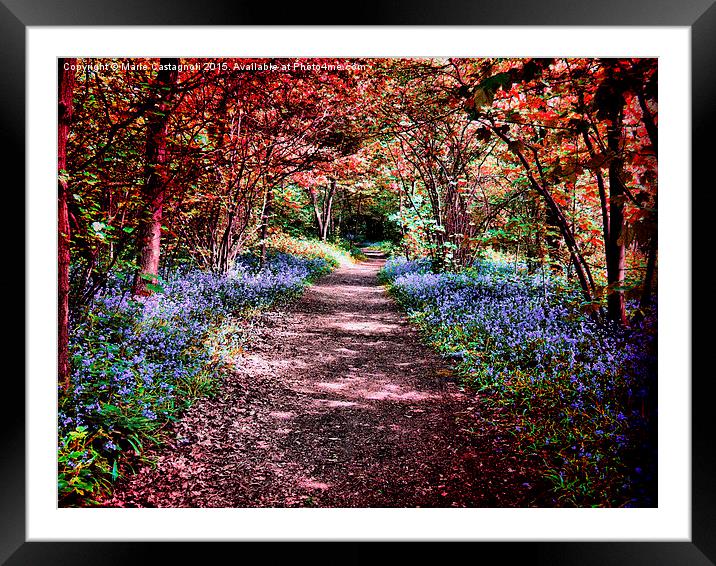  Blue bell Pathway Framed Mounted Print by Marie Castagnoli
