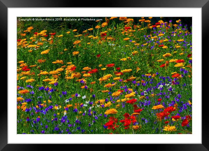  Summer  Flower Border Framed Mounted Print by Martyn Arnold