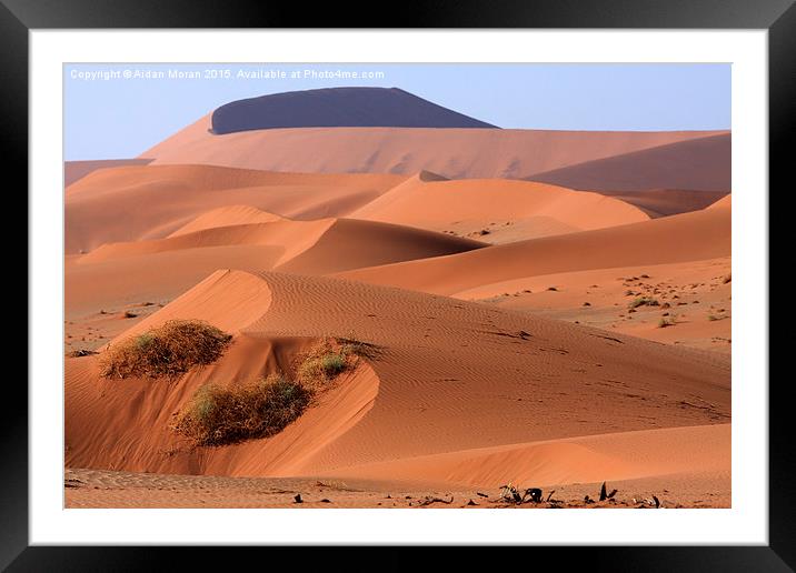  Sand Dune Sculpture   Framed Mounted Print by Aidan Moran