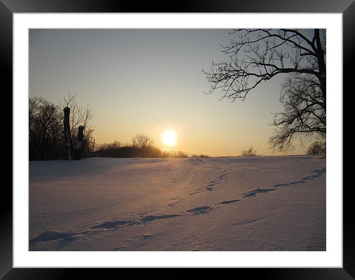 Winter Sun - Soumenlinna Framed Mounted Print by James Lamont