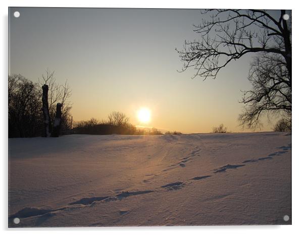 Winter Sun - Soumenlinna Acrylic by James Lamont