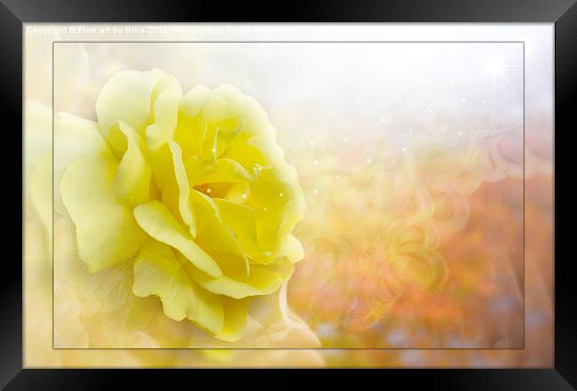  The Rose Framed Print by Fine art by Rina