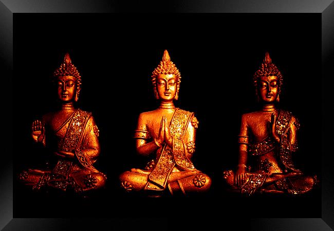 Three golden Buddhas Framed Print by Julian Bound