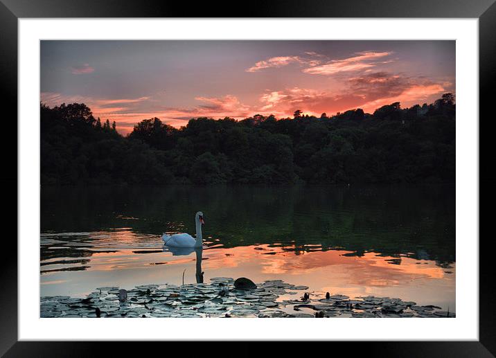  Decoy Lake Framed Mounted Print by kevin wise