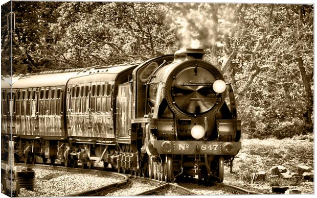 Bluebell Line Trains Canvas Print by David French