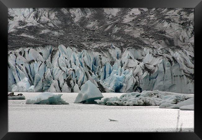 Mendenhall Glacier Framed Print by Chris Turner