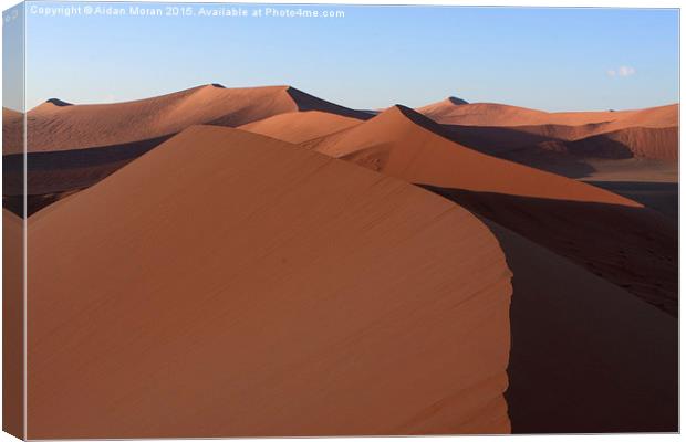  Desert Sands Namibia  Canvas Print by Aidan Moran