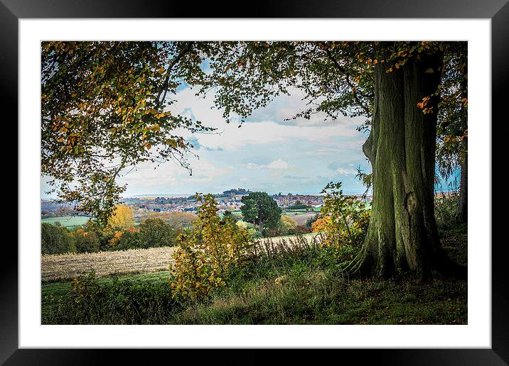 FARINGDON AUTUMN VIEW LANDSCAPE Framed Mounted Print by DAVID SAUNDERS