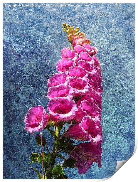  Foxglove with texture reaching for the sky. Print by Robert Gipson