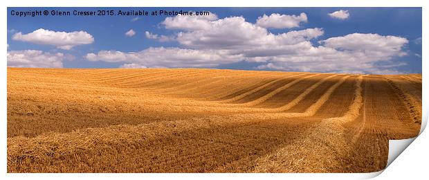  Harvested field, A35 Dorset Print by Glenn Cresser