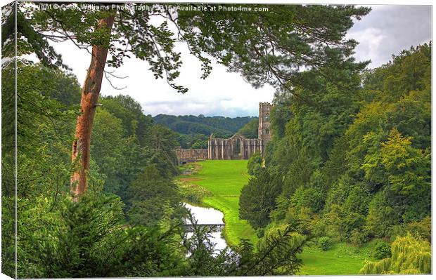  Fountains Abbey Yorkshire 1 Canvas Print by Colin Williams Photography