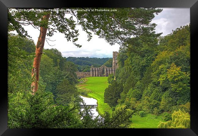  Fountains Abbey Yorkshire 1 Framed Print by Colin Williams Photography