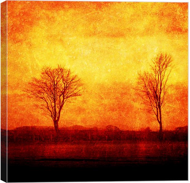  Lone trees in Autumn, Oswestry, Shropshire Canvas Print by Julian Bound