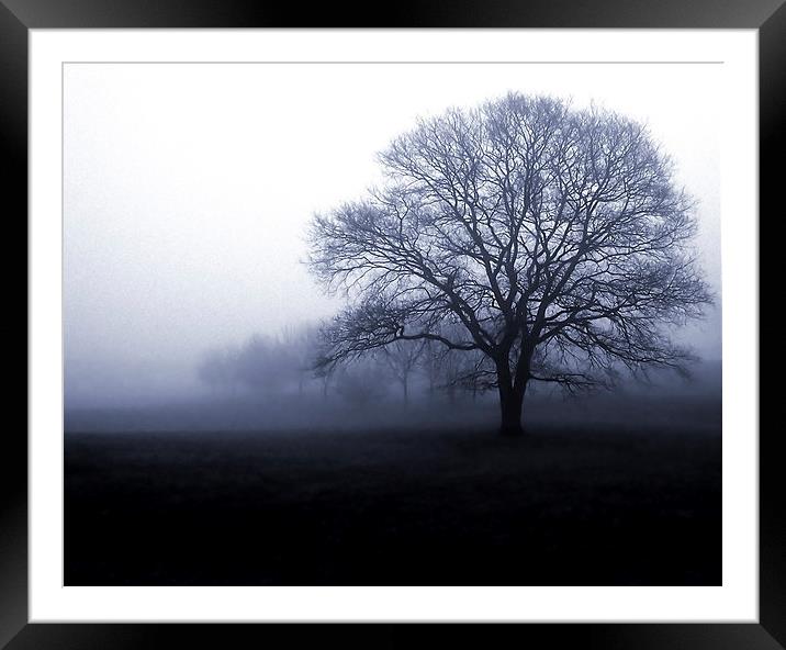  Mourning Tree Framed Mounted Print by Steve Smith