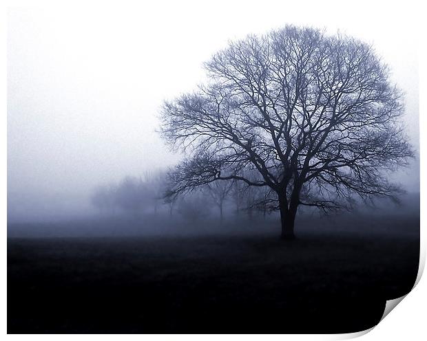  Mourning Tree Print by Steve Smith