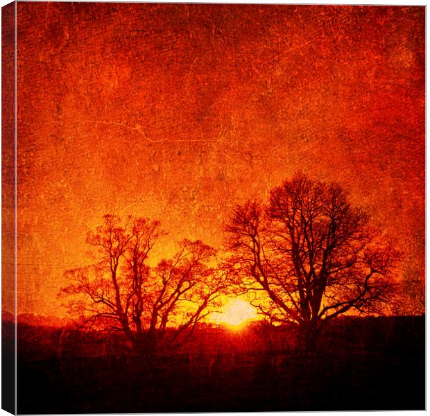  Lone trees in Autumn, Oswestry, Shropshire Canvas Print by Julian Bound