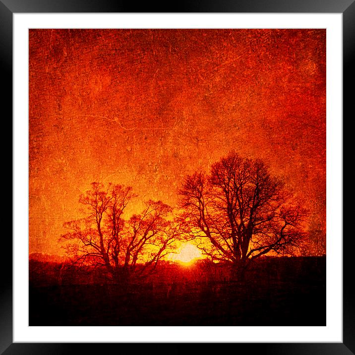  Lone trees in Autumn, Oswestry, Shropshire Framed Mounted Print by Julian Bound