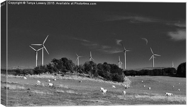 wind turbines and sheep Canvas Print by Tanya Lowery