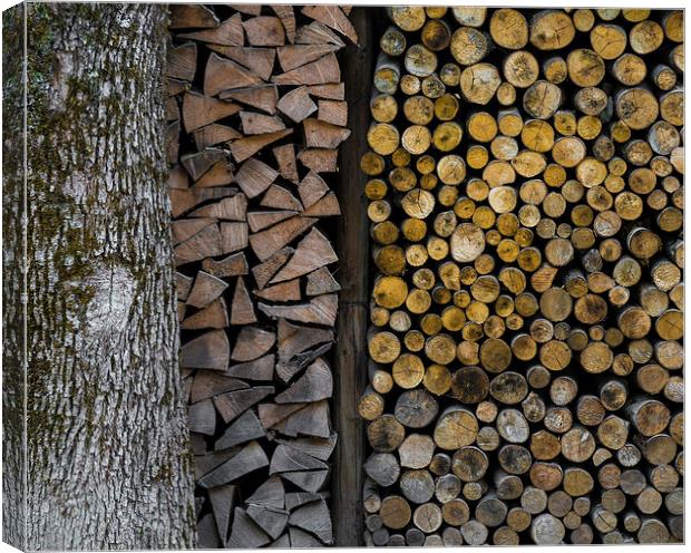 In the Woodshed Canvas Print by Greg Marshall