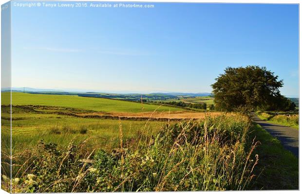  Dumfriesshire landscape! Canvas Print by Tanya Lowery