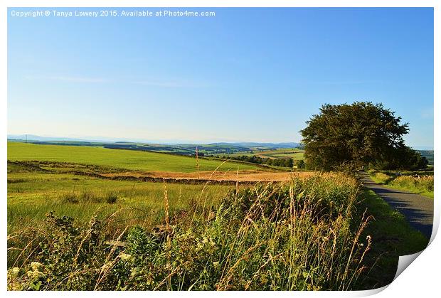  Dumfriesshire landscape! Print by Tanya Lowery