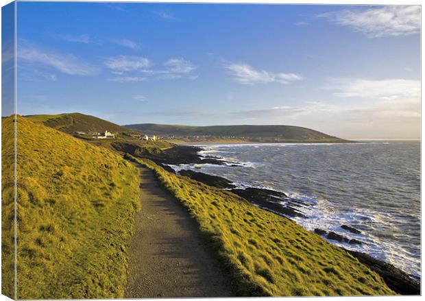 Path from Baggy point to Croyde and Woolacombe Canvas Print by Mike Gorton