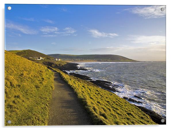 Path from Baggy point to Croyde and Woolacombe Acrylic by Mike Gorton