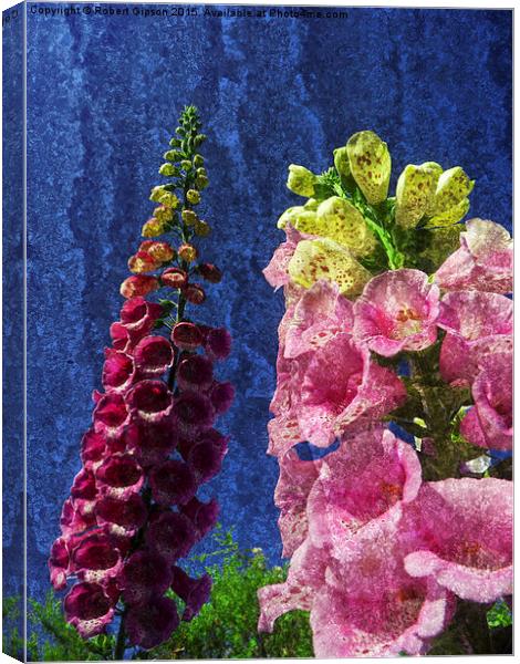  Two Foxglove flowers on texture. Canvas Print by Robert Gipson