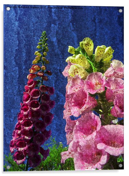  Two Foxglove flowers on texture. Acrylic by Robert Gipson