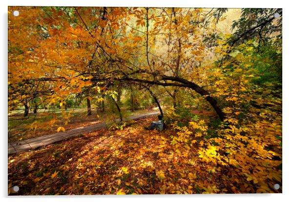 Autumn Burst of Colours Acrylic by Svetlana Sewell